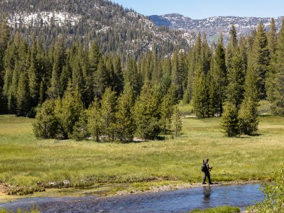 A person wearing outdoor gear and carrying a backpack walks along the edge of a shallow stream in a grassy meadow. Dense evergreen trees line the background, with snow-dappled mountains visible in the distance under a clear blue sky.