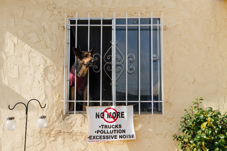 A dog wearing a maroon vest peeks out its head from the white window guard of a yellow house. A small white sign that reads "No more trucks, pollution, excessive noise" hangs down below.