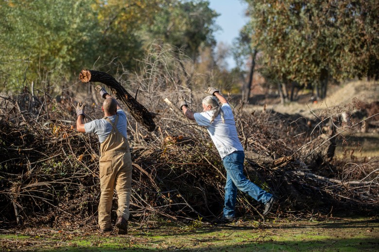 Two people in mid-throw of a tree trunk into a pile of branches and tree trunks in a park. The two people are wearing dirty work clothes as they pile more branches onto the pile.