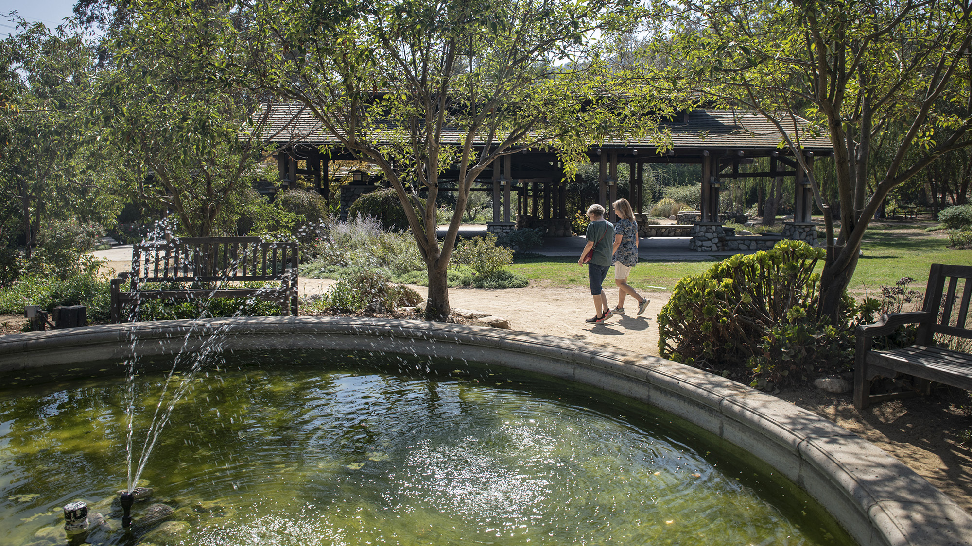 Recycling is one way for California to boost its water supply. Descanso Gardens in La Cañada Flintridge captures and reuses water to irrigate its lush forests, ponds and gardens. Photo by Pablo Unzueta for CalMatters